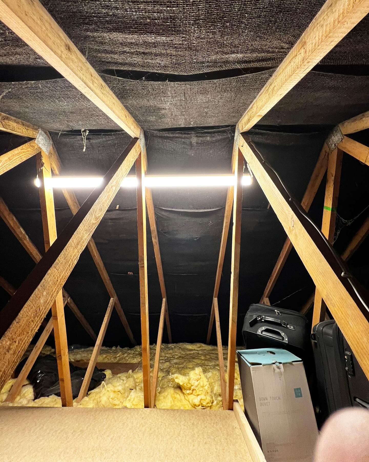 loft hatch installation in Cambridgeshire